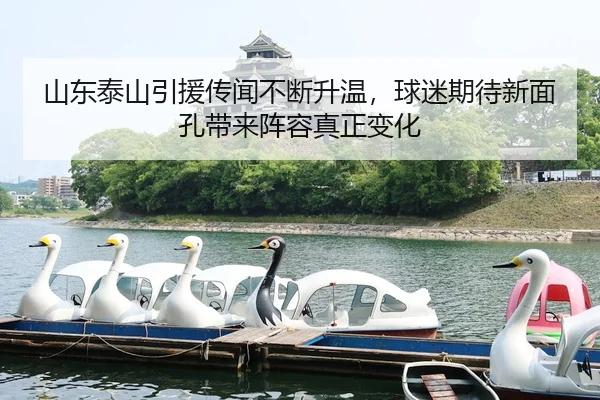 山东泰山引援传闻不断升温，球迷期待新面孔带来阵容真正变化